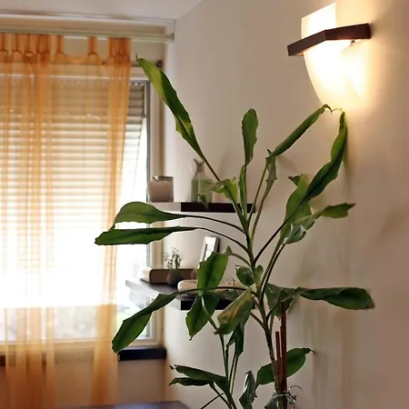 Apartment Spalato Split